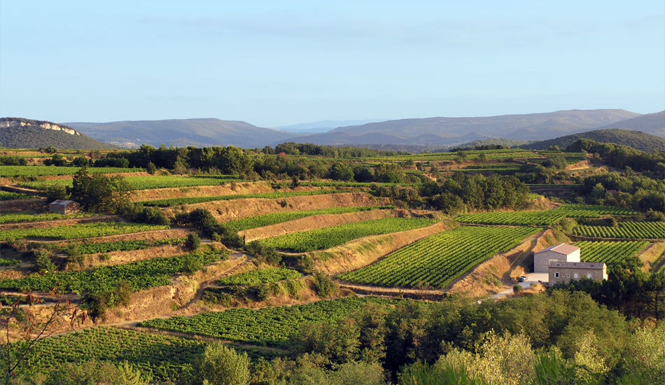 Les terres du Château des Corrèges